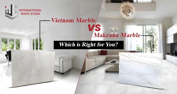 Vietnam Marble vs Makrana Marble: Which is Right for You?