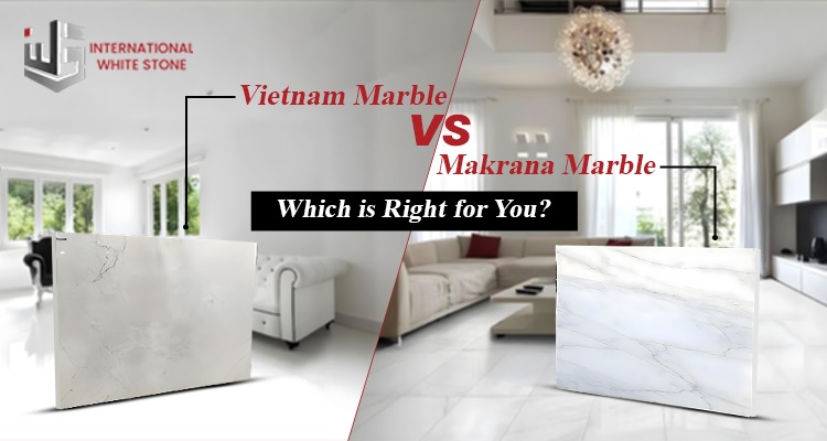 Vietnam Marble Vs Makrana Marble