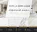 vietnam white marble